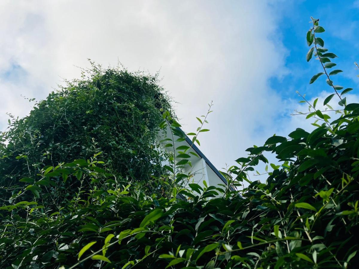 Coto Center Homestay ダオコートー エクステリア 写真